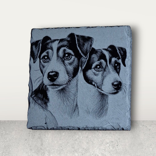 Jack russell dog collection - russell, of