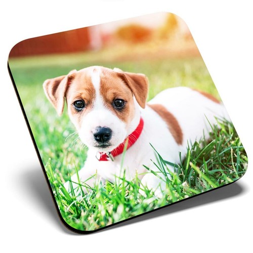 Square single coaster - square,