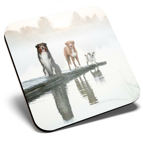 Square single coaster - square,