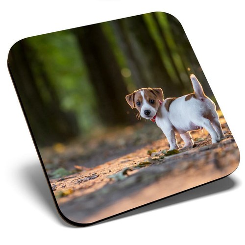 Square single coaster - single, jack