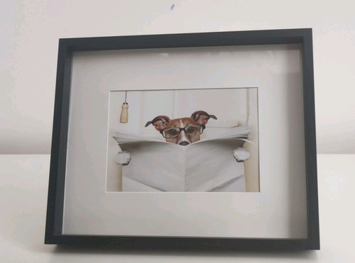 Funny jack russell reading - jack,