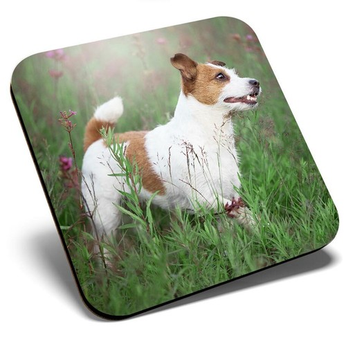 Square single coaster - ,