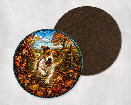 Jack russell dog - jack,