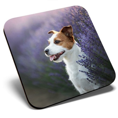 Square single coaster cute - -,