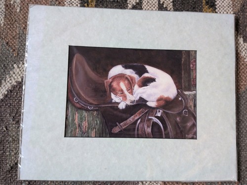 Jack russell dog - jack,