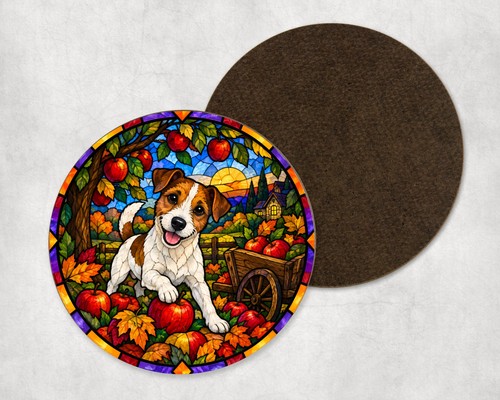 Jack russell dog - jack,