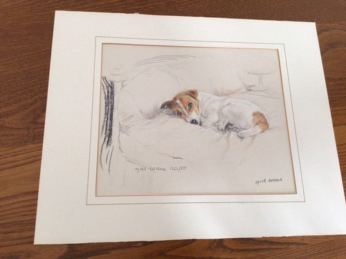 Jack russell print - russell, by