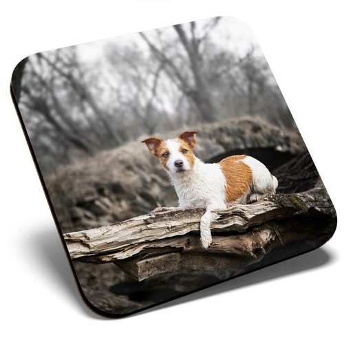 Square single coaster cute - square,
