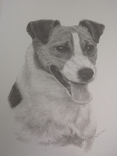 Framed original pencil - framed,