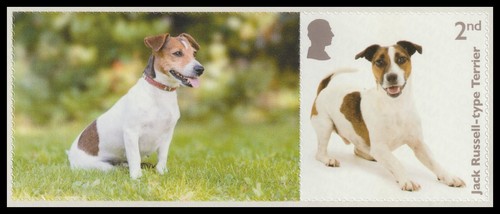 Ls162c dogs jack - ls162c,