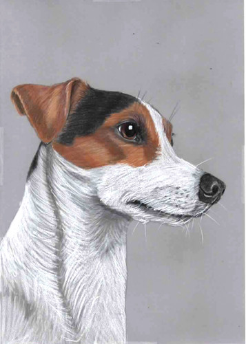 Original colour pencil artwork