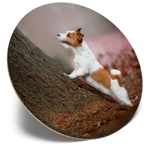 Round single coaster jack - round,