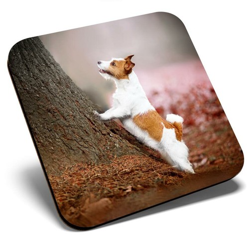 Square single coaster jack - square,