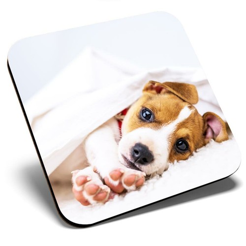 Square single coaster jack - coaster,