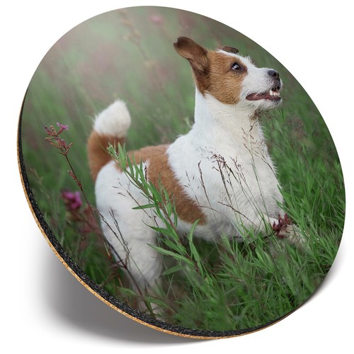 Round single coaster jack - round,