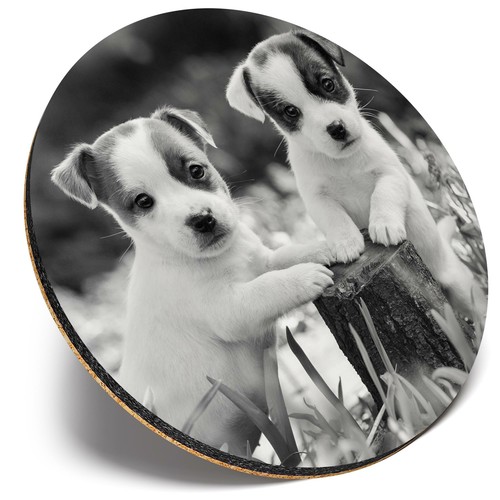 Round single coaster - round,