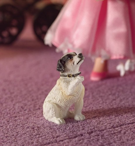 Fergie the jack russell - jack,