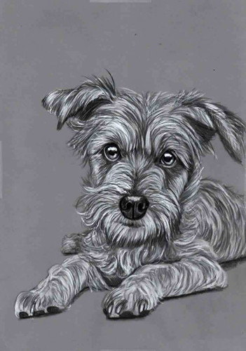 Original pencil drawing - original,