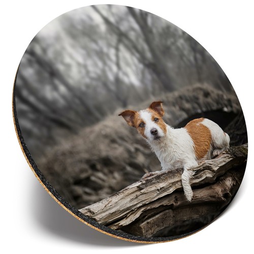 Round single coaster - ,