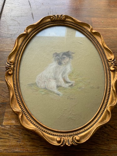 Jack russell original - jack,