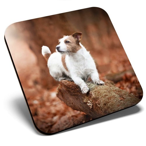 Square single coaster jack - coaster,