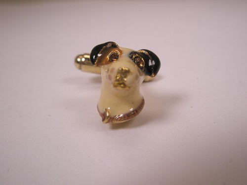 Dog jack russell - dog, terrier
