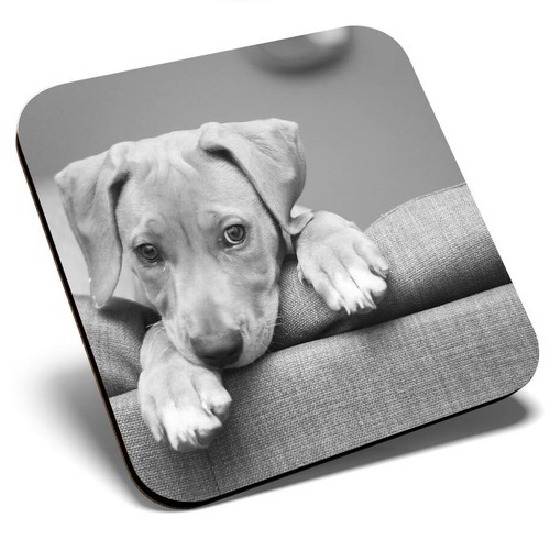 Square single coaster - single,