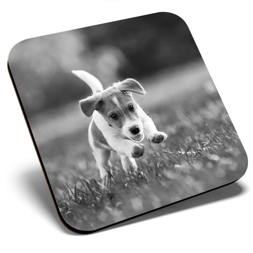 Square single coaster - single, bw