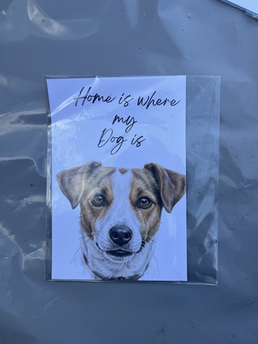 Jack russell dog - russell,