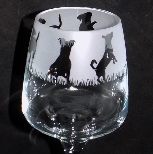 New jack russell - 'jack, russell'