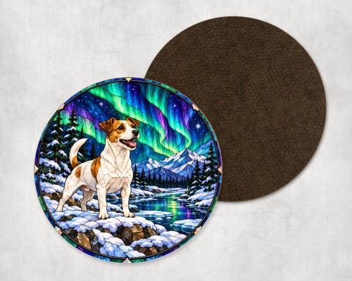Jack russell dog northern - russell,