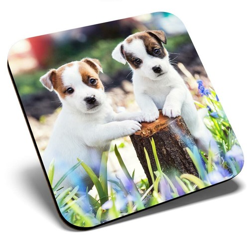 Square single coaster - single,