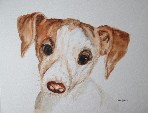 Jack russell dog original - "jack, dog"