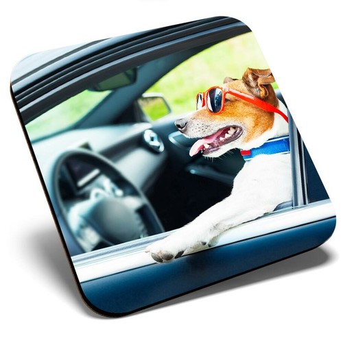 Square single coaster cool - square,