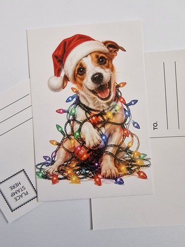 Jrt jack russell terrier - jrt,