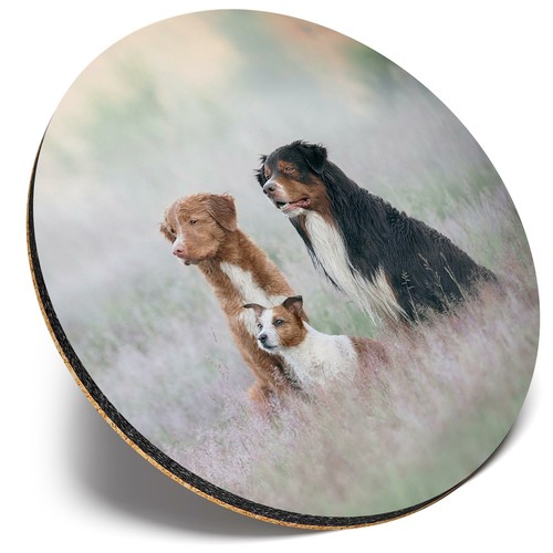 Round single coaster trio - ,