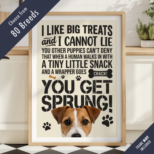 Funny dog treats - lyric, quote