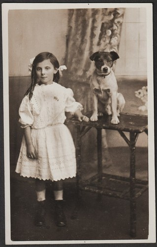 Jack russell dog postcard with - dog,
