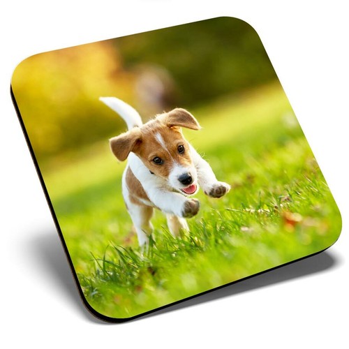 Square single coaster cool - coaster,