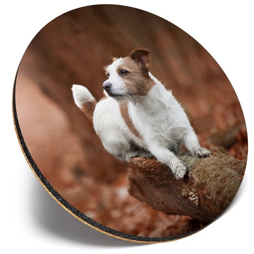 Round single coaster - ,