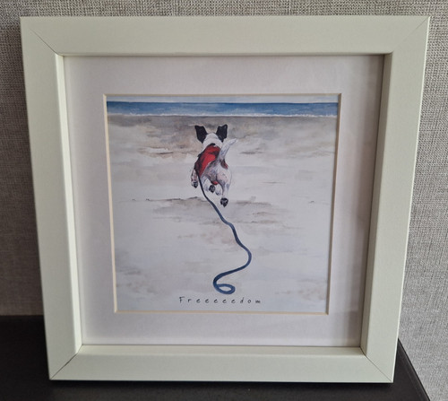 Jack russell picture from digs - picture,