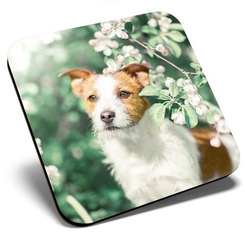 Square single coaster jack - square,