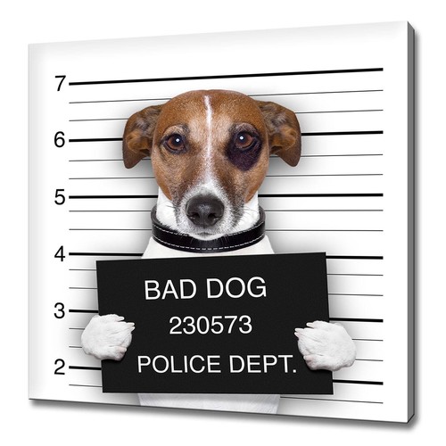 Jack russell bad dog humorous - dog,