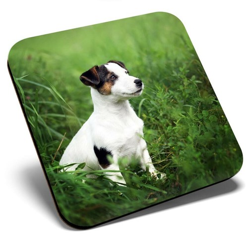 Square single coaster jack - single,