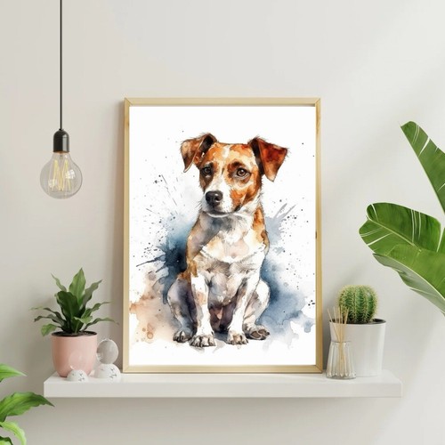 Jack russell terrier portrait - jack,
